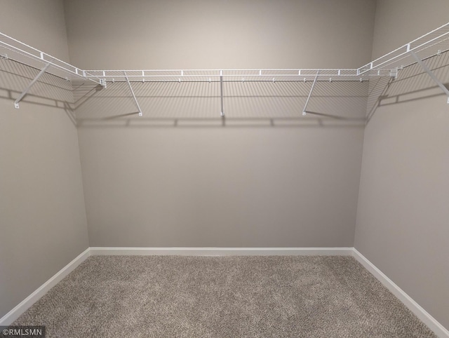 6752 104th St, Cottage Grove, MN 55016 - spacious closet featuring carpet
