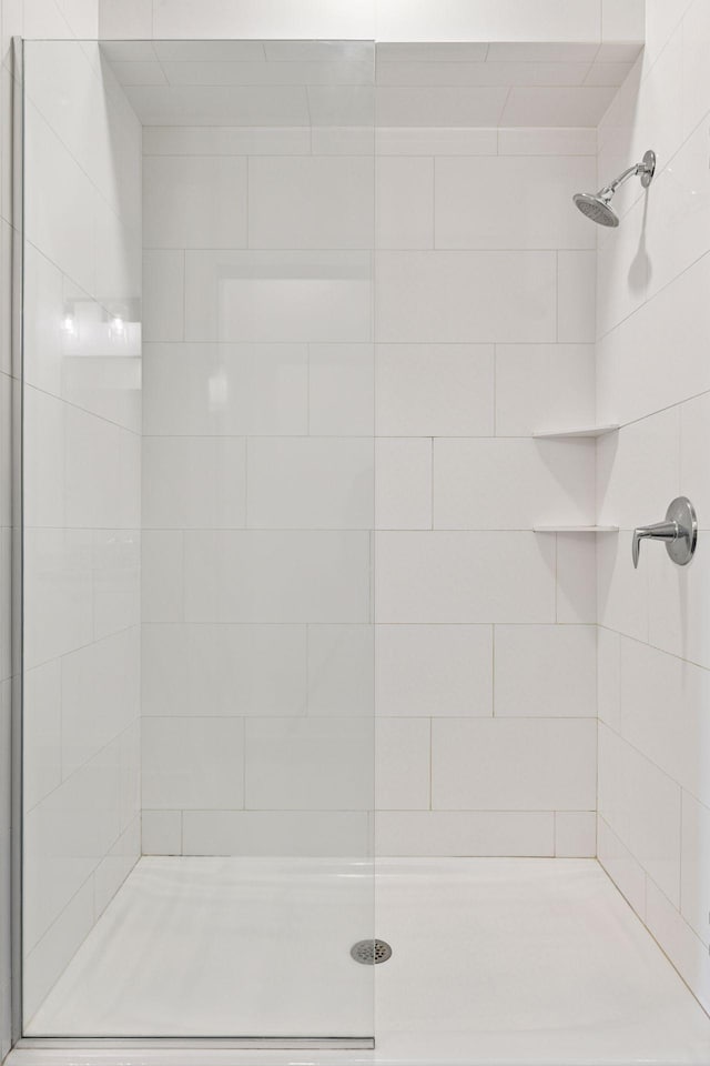 222 Ferndale Rd S Unit 207, Wayzata, MN 55391 - bathroom with tiled shower