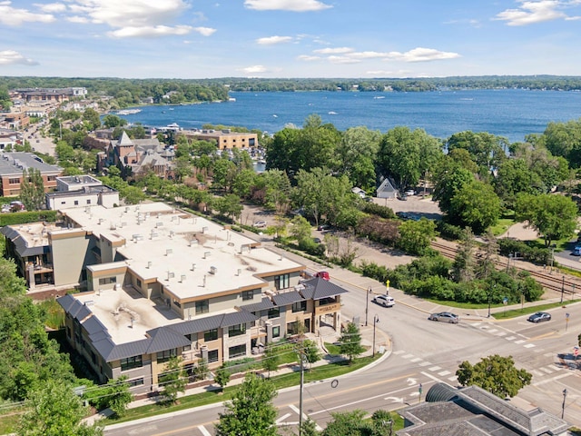 222 Ferndale Rd S Unit 207, Wayzata, MN 55391 - aerial view of a nearby body of water