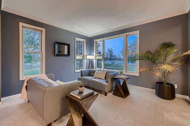 5250 Yvette St, Greenfield, MN 55357 - photo 9