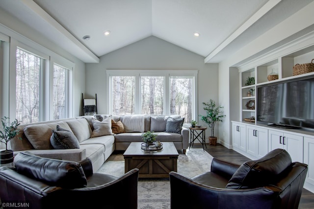 living room featuring wood finished floors, baseboards, vaulted ceiling, and a wealth of natural light