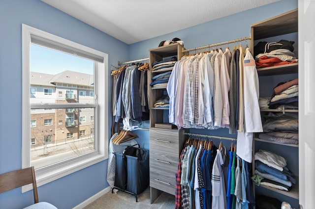 4025 River Valley Way, Eagan, MN 55122 - spacious closet featuring carpet