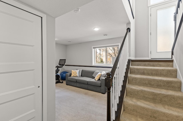 4025 River Valley Way, Eagan, MN 55122 - staircase featuring carpet floors