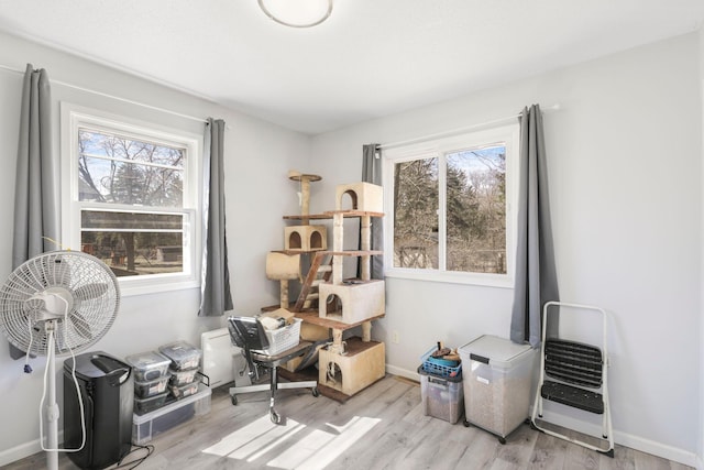 miscellaneous room featuring baseboards and wood finished floors