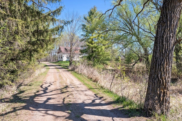 100 Stark Rd, Harris, MN 55032 - view of dirt / gravel road