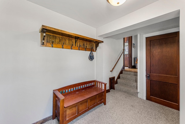 100 Stark Rd, Harris, MN 55032 - hall with carpet flooring, stairs, and baseboards