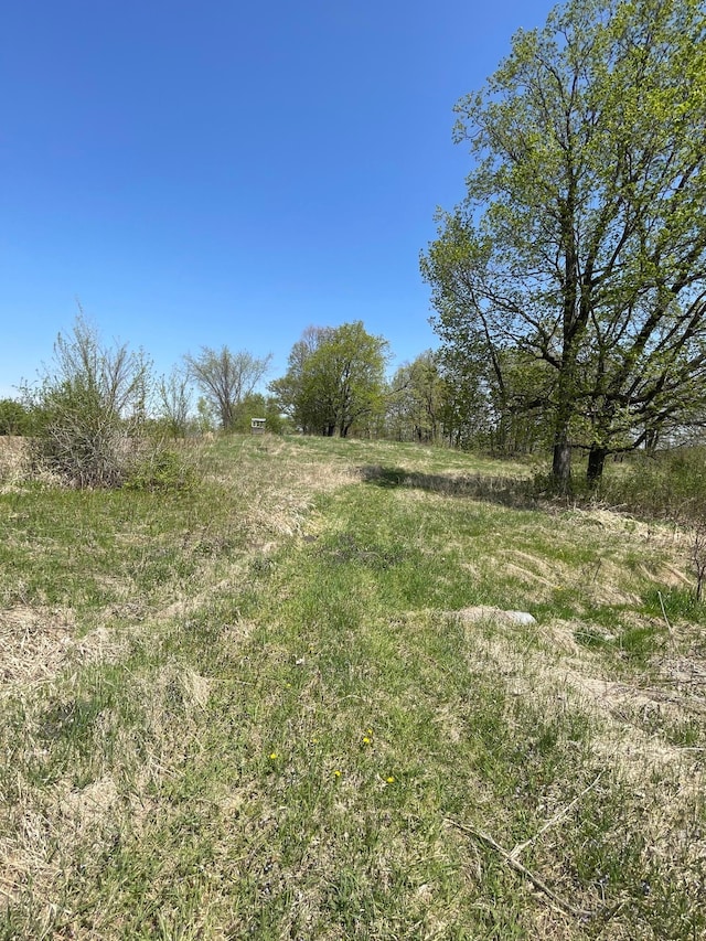 100 Stark Rd, Harris, MN 55032 - view of local wilderness