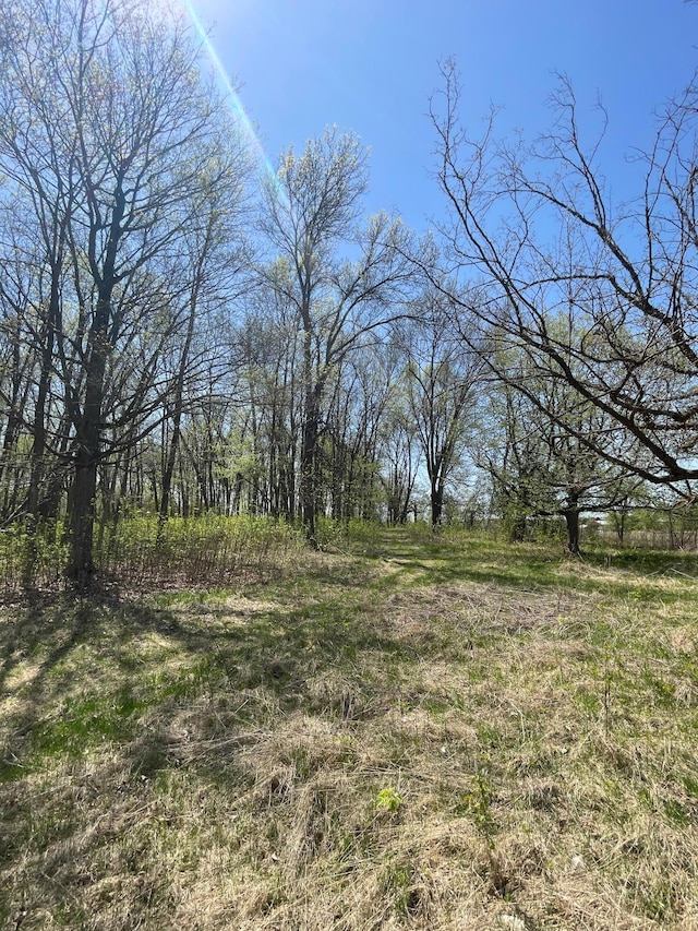 100 Stark Rd, Harris, MN 55032 - view of undeveloped land