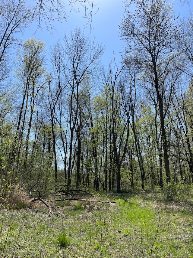 100 Stark Rd, Harris, MN 55032 - view of nature