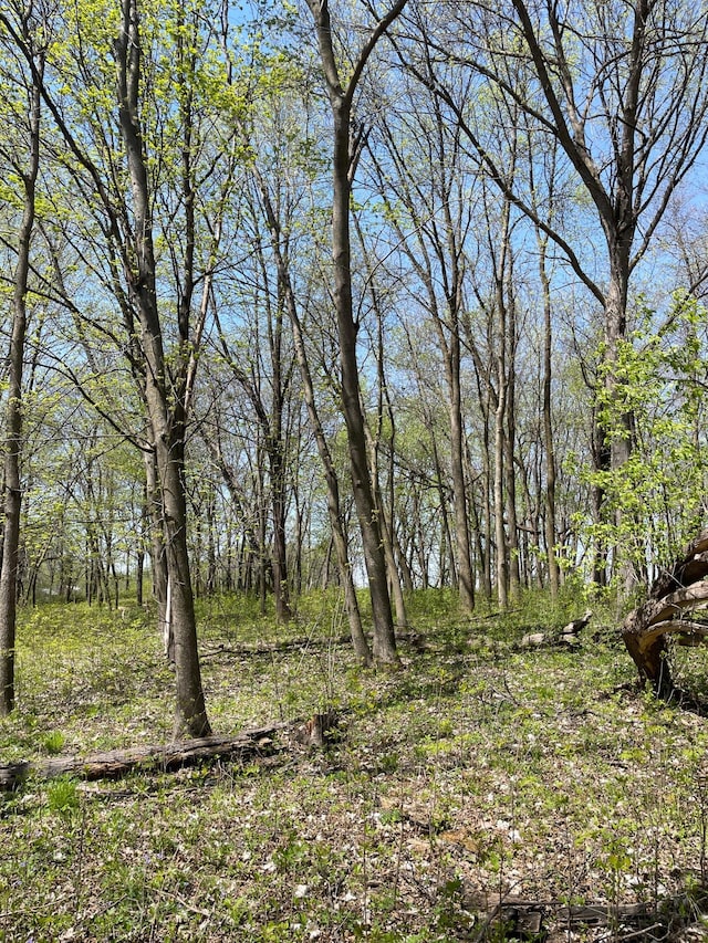 100 Stark Rd, Harris, MN 55032 - view of local wilderness