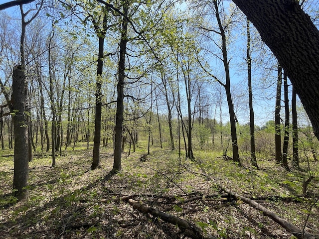 100 Stark Rd, Harris, MN 55032 - view of tree filled area