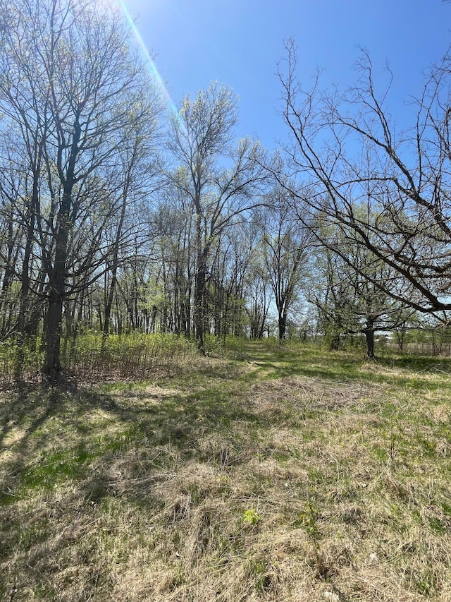 100 Stark Rd, Harris, MN 55032 - photo 49