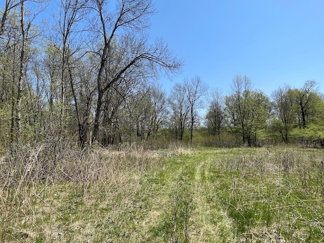 100 Stark Rd, Harris, MN 55032 - photo 55