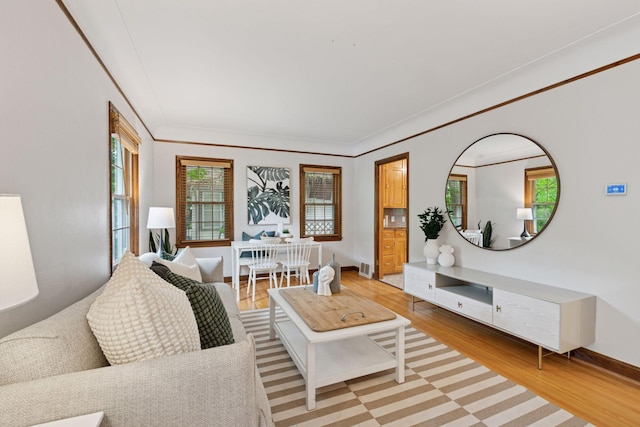 living area featuring plenty of natural light, light wood finished floors, baseboards, and crown molding
