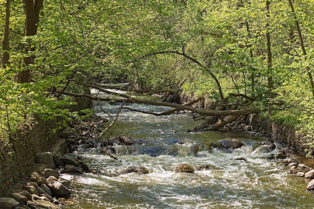 view of tree filled area