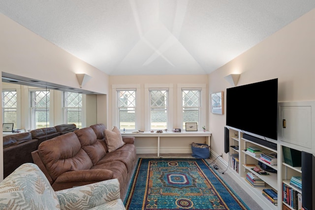 1767 Fremont Ave S, Minneapolis, MN 55403 - living room featuring vaulted ceiling
