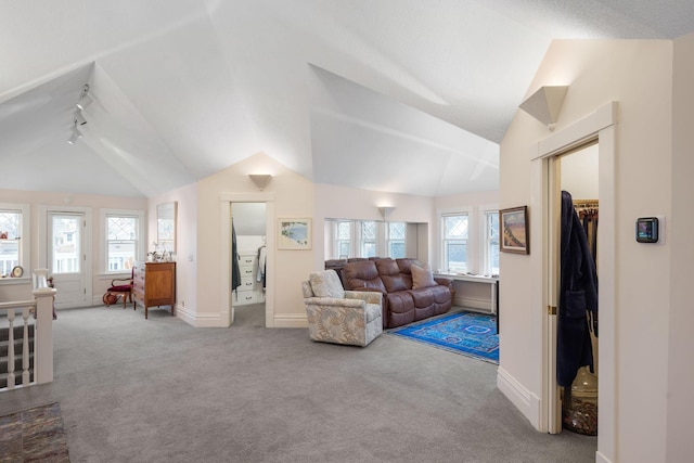 1767 Fremont Ave S, Minneapolis, MN 55403 - living room featuring lofted ceiling, track lighting, and carpet flooring
