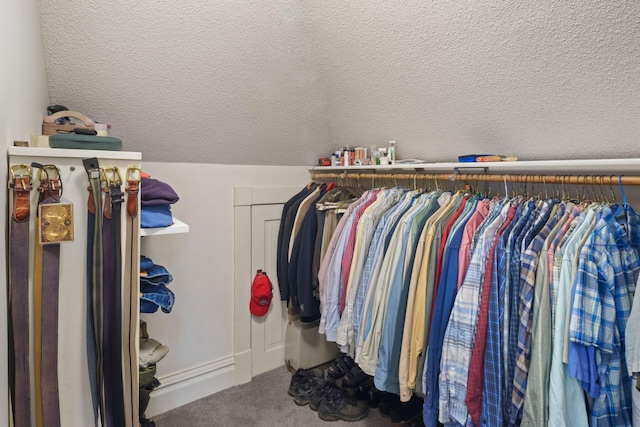 1767 Fremont Ave S, Minneapolis, MN 55403 - walk in closet featuring carpet floors