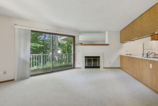 3635 Saint Francis Way Unit B, Eagan, MN 55123 - unfurnished living room featuring light carpet, a textured ceiling, and a tiled fireplace
