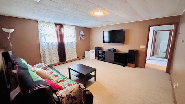 living area featuring carpet floors