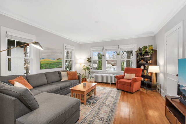 3542 Garfield Ave Unit 3, Minneapolis, MN 55408 - living room featuring radiator, ornamental molding, and light wood-style floors