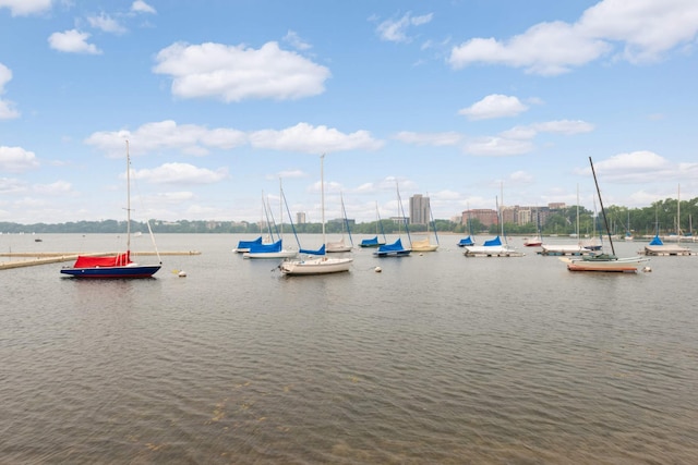 3542 Garfield Ave Unit 3, Minneapolis, MN 55408 - water view with a floating dock