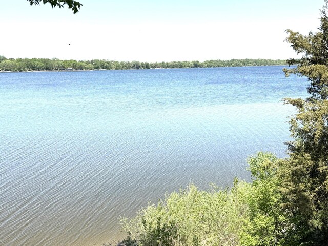 27447 742nd Ave, Dassel Twp, MN 55325 - water view