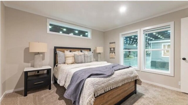 000 Pine Ave S, Sandstone, MN 55072 - bedroom with light carpet and crown molding