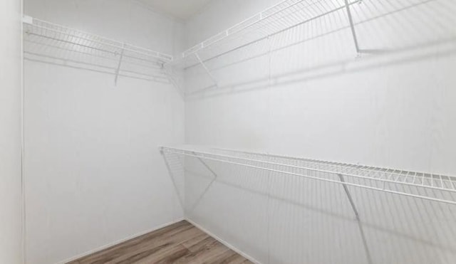 000 Pine Ave S, Sandstone, MN 55072 - spacious closet featuring wood finished floors