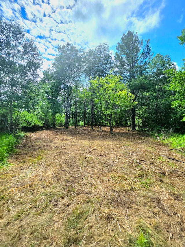 000 Pine Ave S, Sandstone, MN 55072 - view of yard