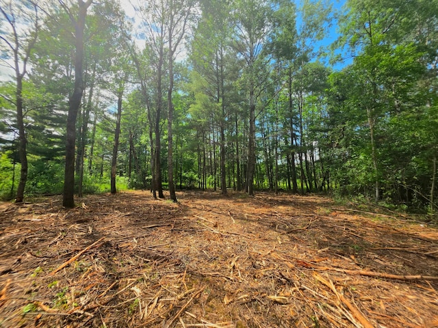 000 Pine Ave S, Sandstone, MN 55072 - view of woods