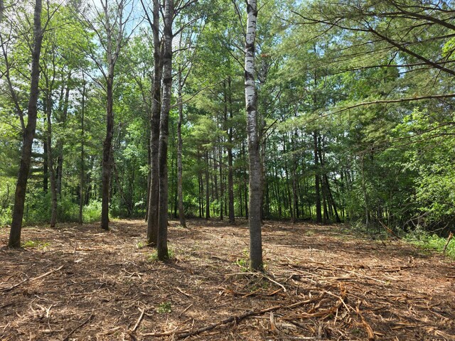 000 Pine Ave S, Sandstone, MN 55072 - view of tree filled area