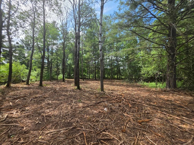 000 Pine Ave S, Sandstone, MN 55072 - view of tree filled area