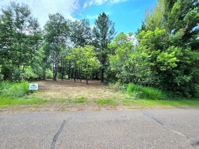 000 Pine Ave S, Sandstone, MN 55072 - view of road