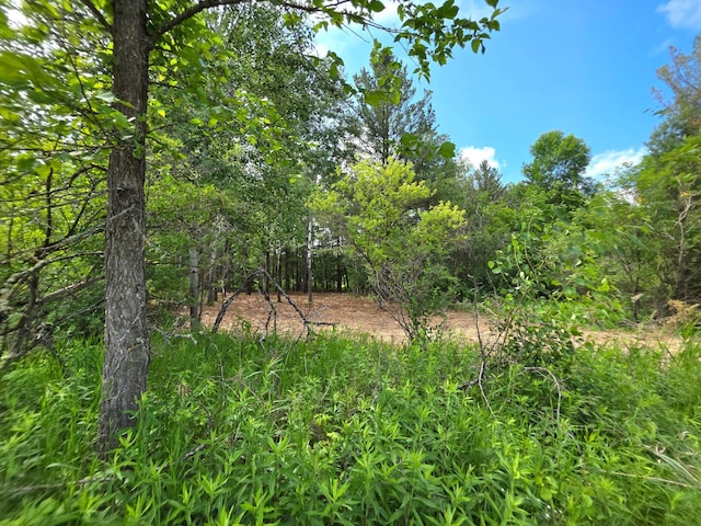 000 Pine Ave S, Sandstone, MN 55072 - view of undeveloped land