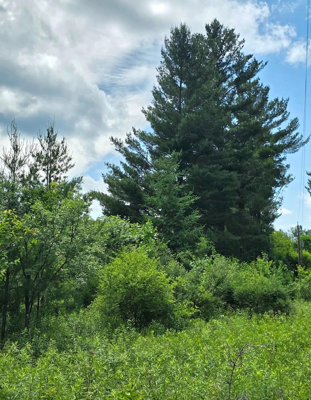000 Pine Ave S, Sandstone, MN 55072 - view of nature