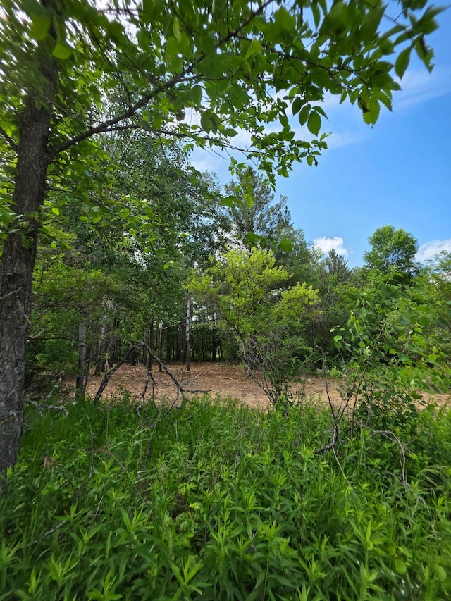 000 Pine Ave S, Sandstone, MN 55072 - view of nature