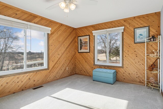 828 143rd St, Garfield Twp, WI 54001 - carpeted spare room featuring a ceiling fan and wood walls