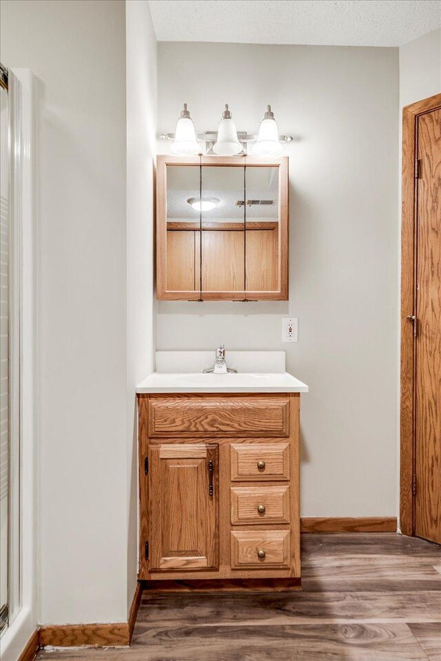 bathroom with vanity and wood finished floors