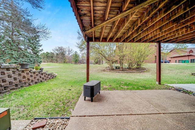 view of yard featuring a patio area