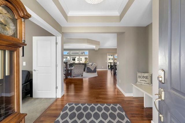 entryway featuring baseboards, ornamental molding, a raised ceiling, and dark wood-type flooring