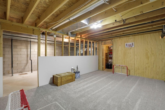 36090 Helium St NW, Wyanett Twp, MN 55371 - view of unfinished basement