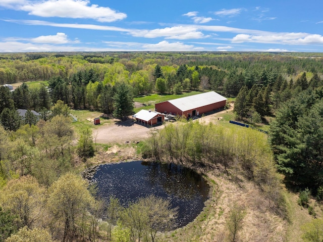 36090 Helium St NW, Wyanett Twp, MN 55371 - view of subject property featuring a forest and a large body of water