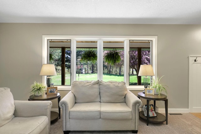 36090 Helium St NW, Wyanett Twp, MN 55371 - carpeted living room featuring baseboards