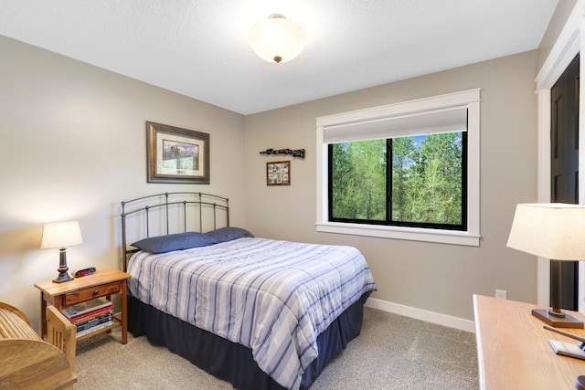 36090 Helium St NW, Wyanett Twp, MN 55371 - carpeted bedroom with baseboards