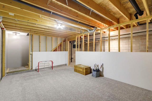 36090 Helium St NW, Wyanett Twp, MN 55371 - unfinished basement featuring carpet floors