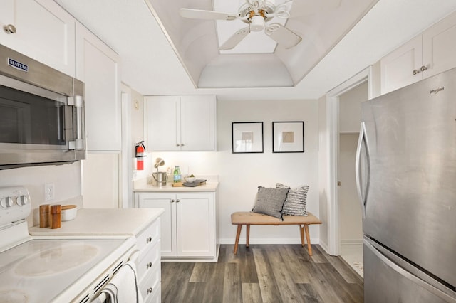 kitchen featuring a raised ceiling, ceiling fan, white cabinetry, and stainless steel appliances