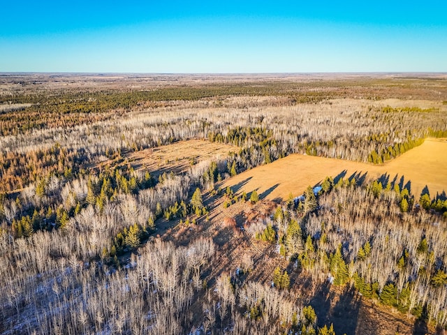 16355 Wildflower Ln NE, Cormant Twp, MN 56630 - photo 32