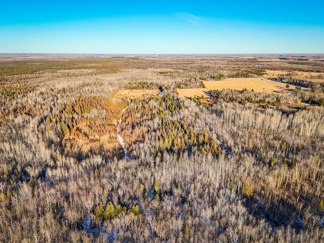 16355 Wildflower Ln NE, Cormant Twp, MN 56630 - photo 42