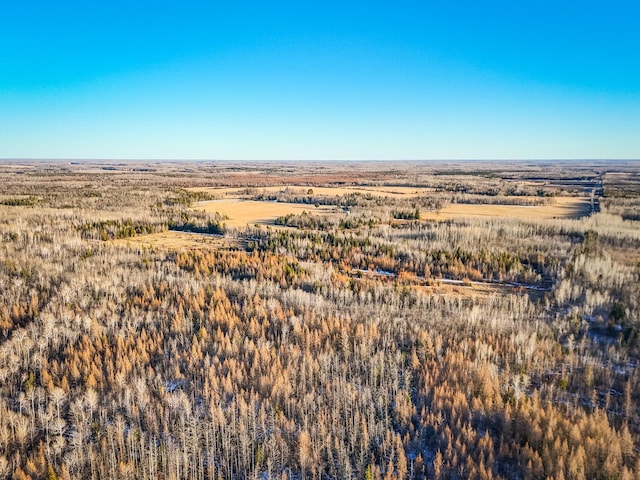 16355 Wildflower Ln NE, Cormant Twp, MN 56630 - photo 43